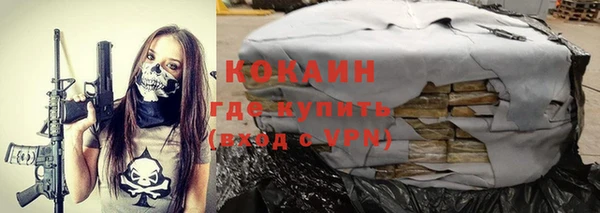 СК Гусев