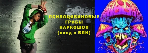 герыч Гусь-Хрустальный