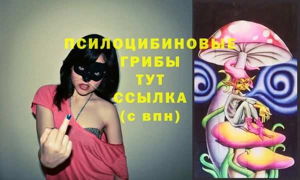 СК Гусев