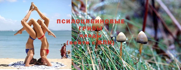 2c-b Гусиноозёрск