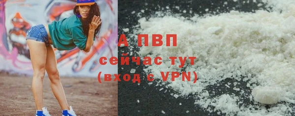 СК Гусев