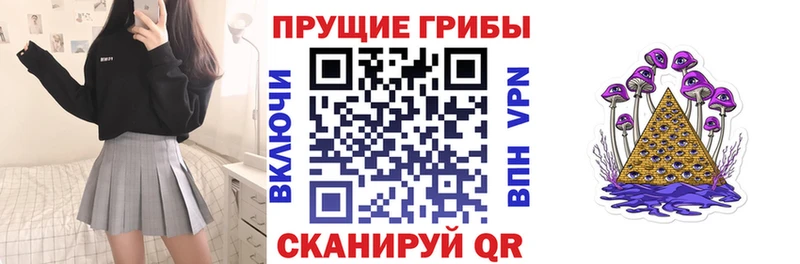 Псилоцибиновые грибы Psilocybe  Купить где  Каменка 